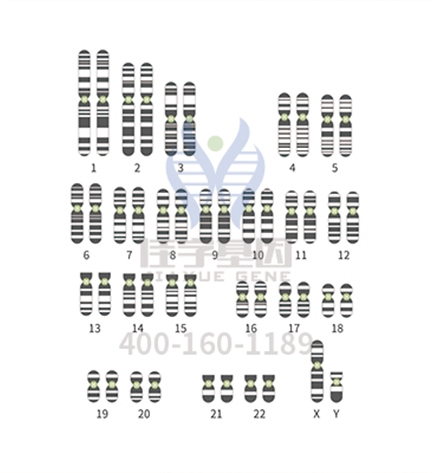 【佳学基因检测】山西晋中市全基因检测机构